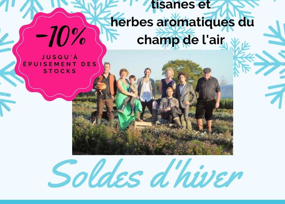 panier du 27/01 – soldes au rayon tisane et herbes aromatiques !